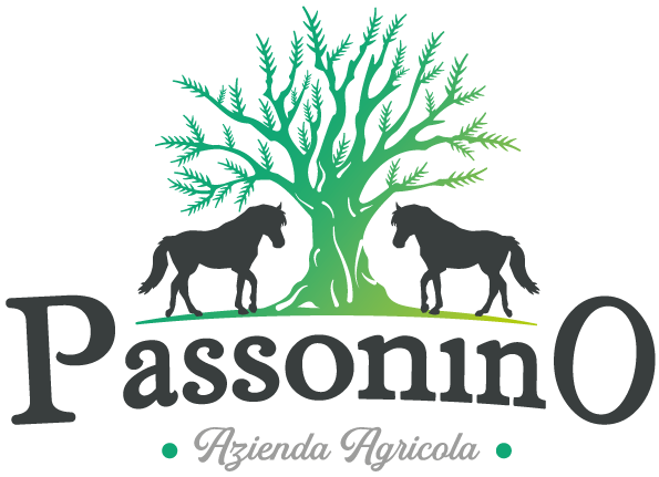 Logo Passonino logo Passonino